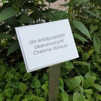 Sign for plants
